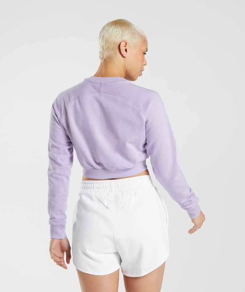 Women's Gymshark Training Cropped Sweatshirts Light Purple | CA D30617